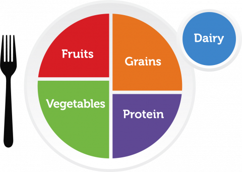 Myplate link