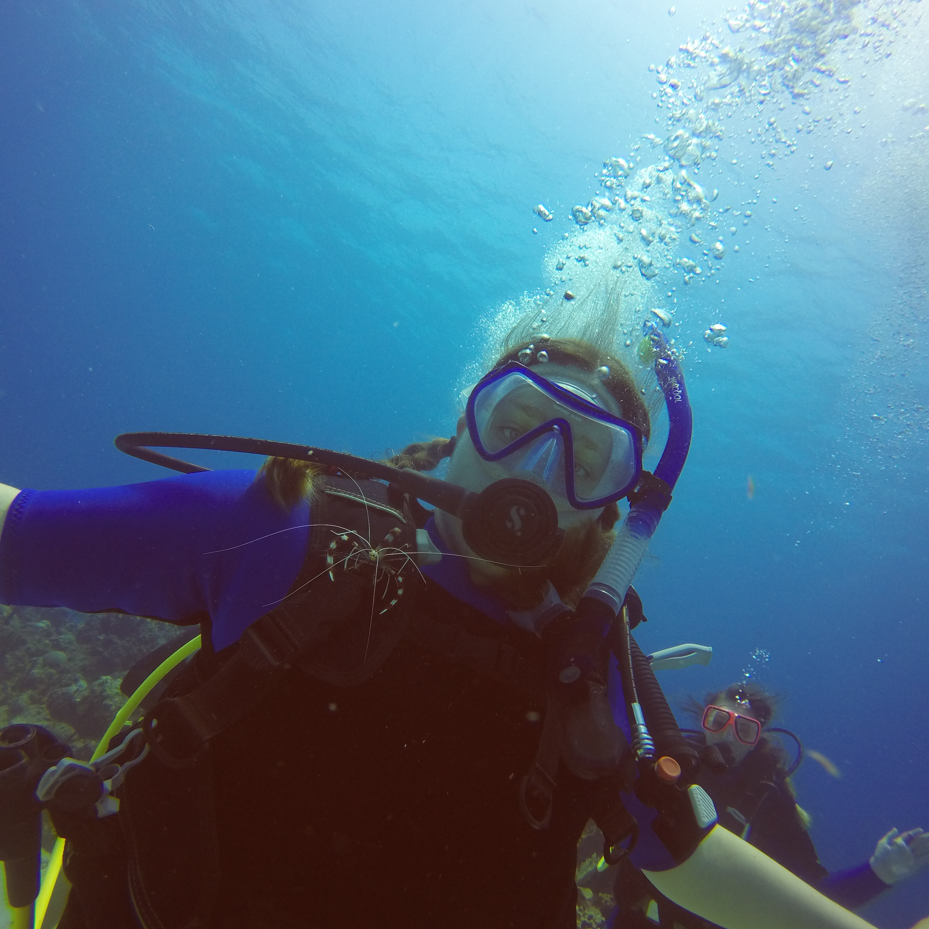 Lindsay Carr Scuba diving in the Grand Cayman Islands. 