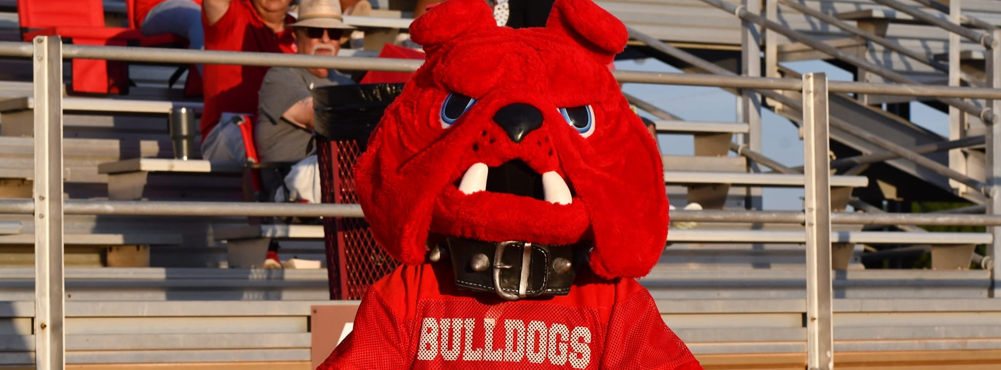 Bruiser 24