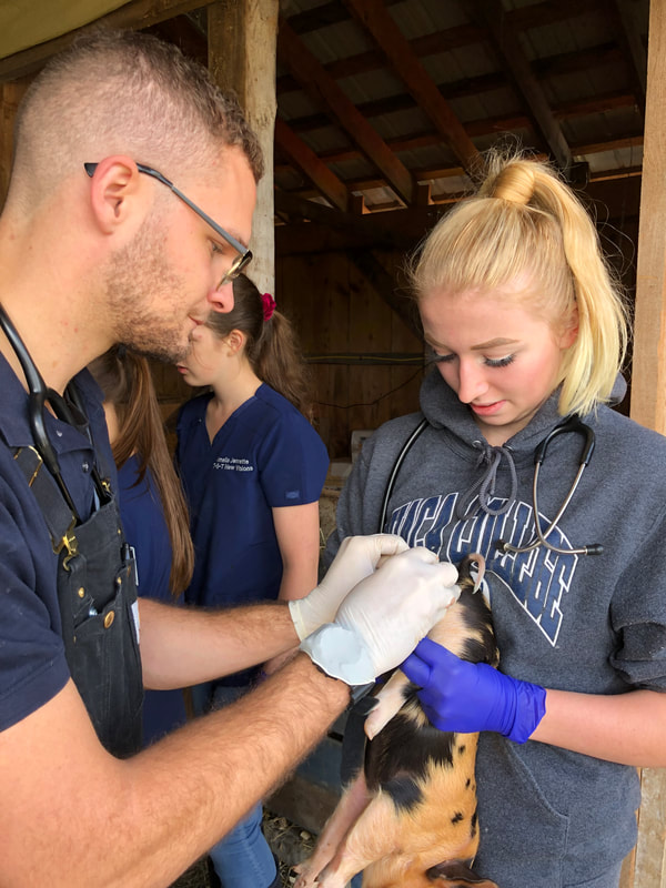 NV Life Sciences student working with animal