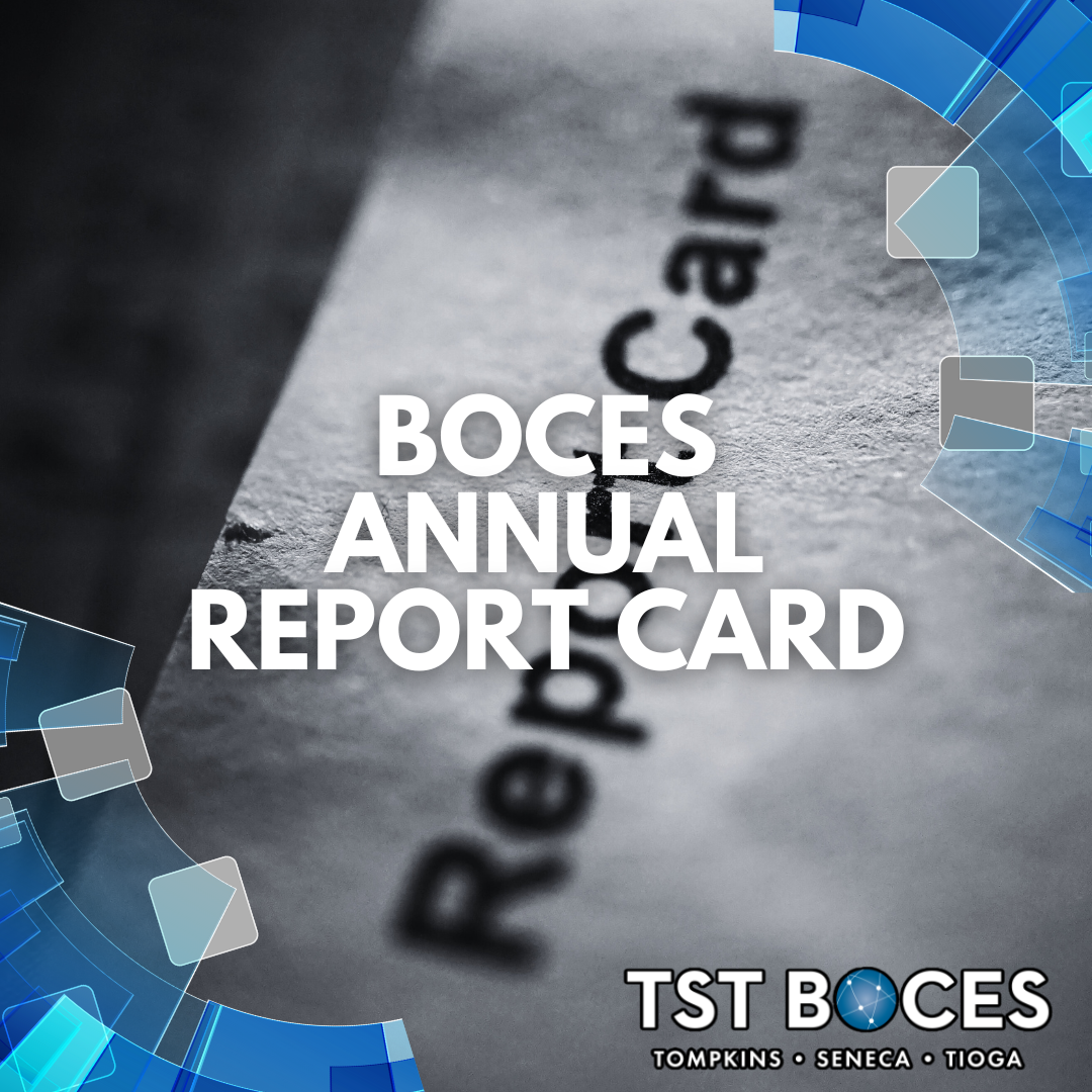 TST Annual Report Card logo