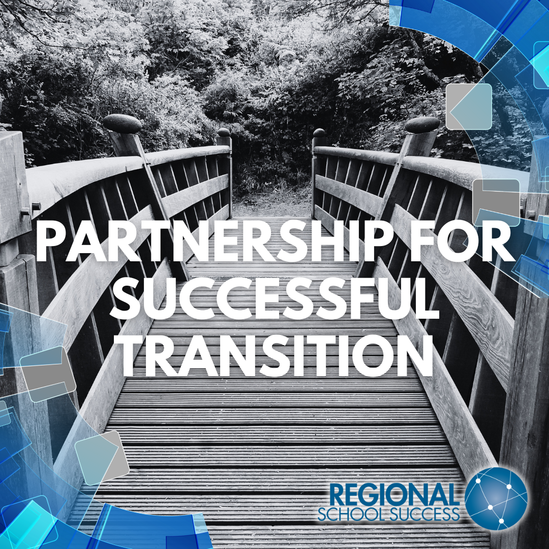 Partnership for successful Transitions logo