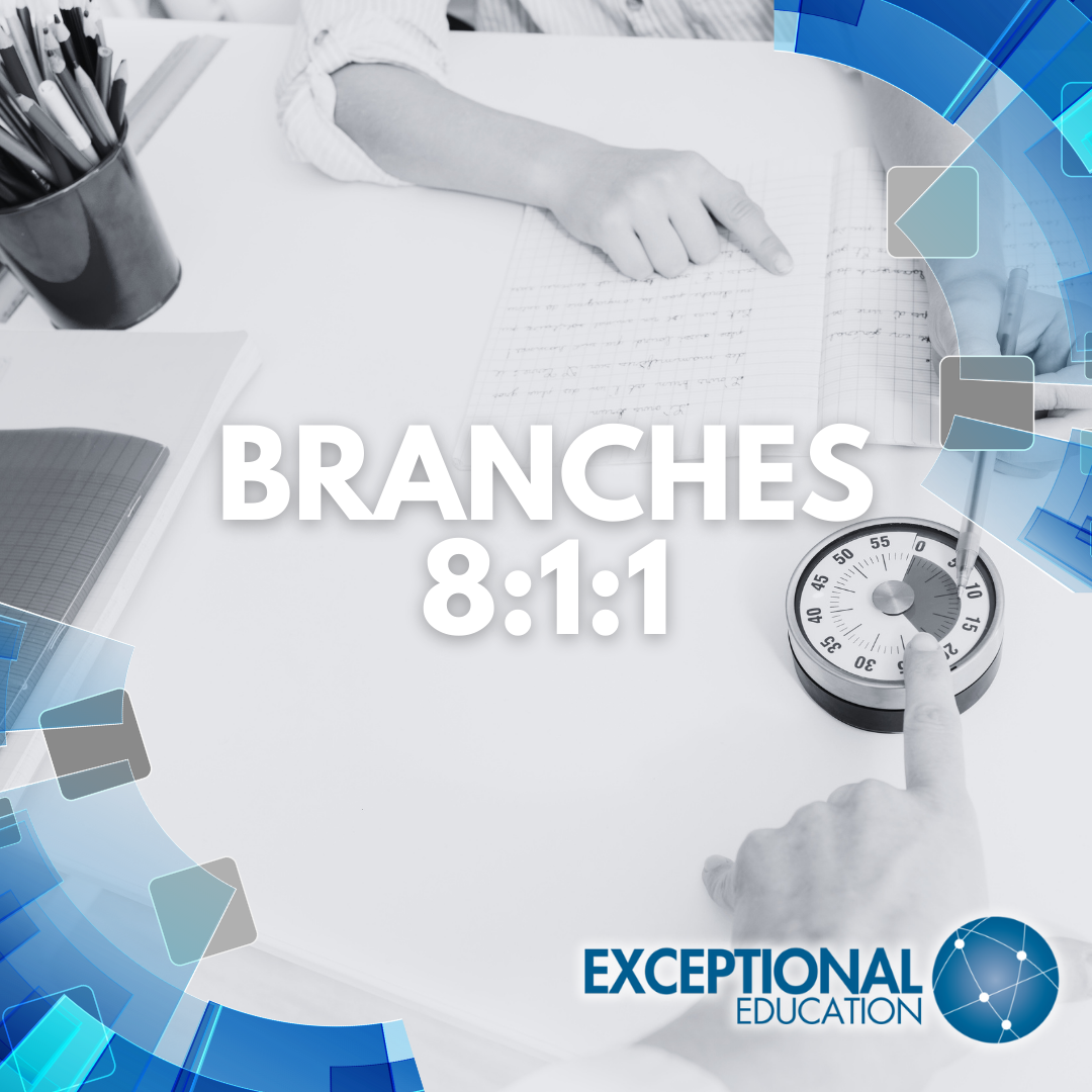 branches 8:1:1 logo