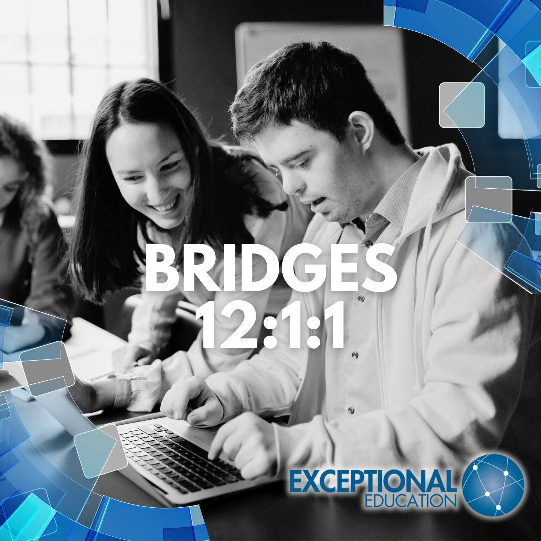 bridges 12:1:1 logo