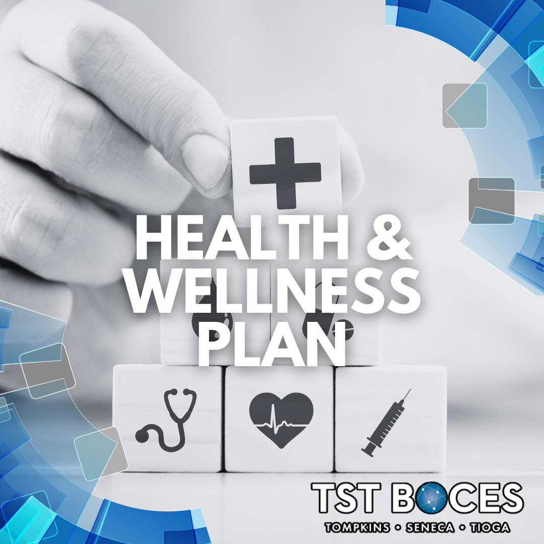 health and wellness plan