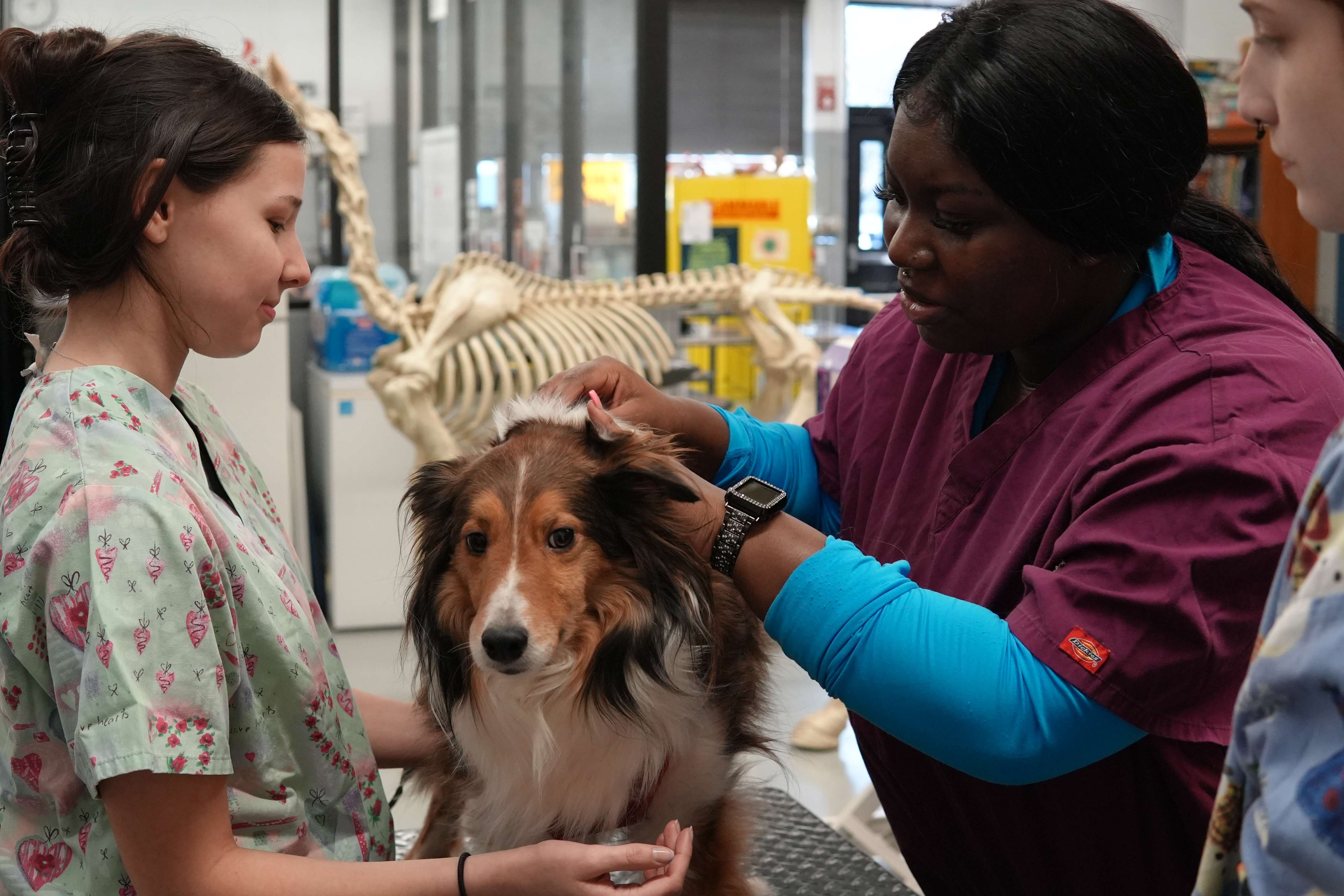 Animal science students with dog