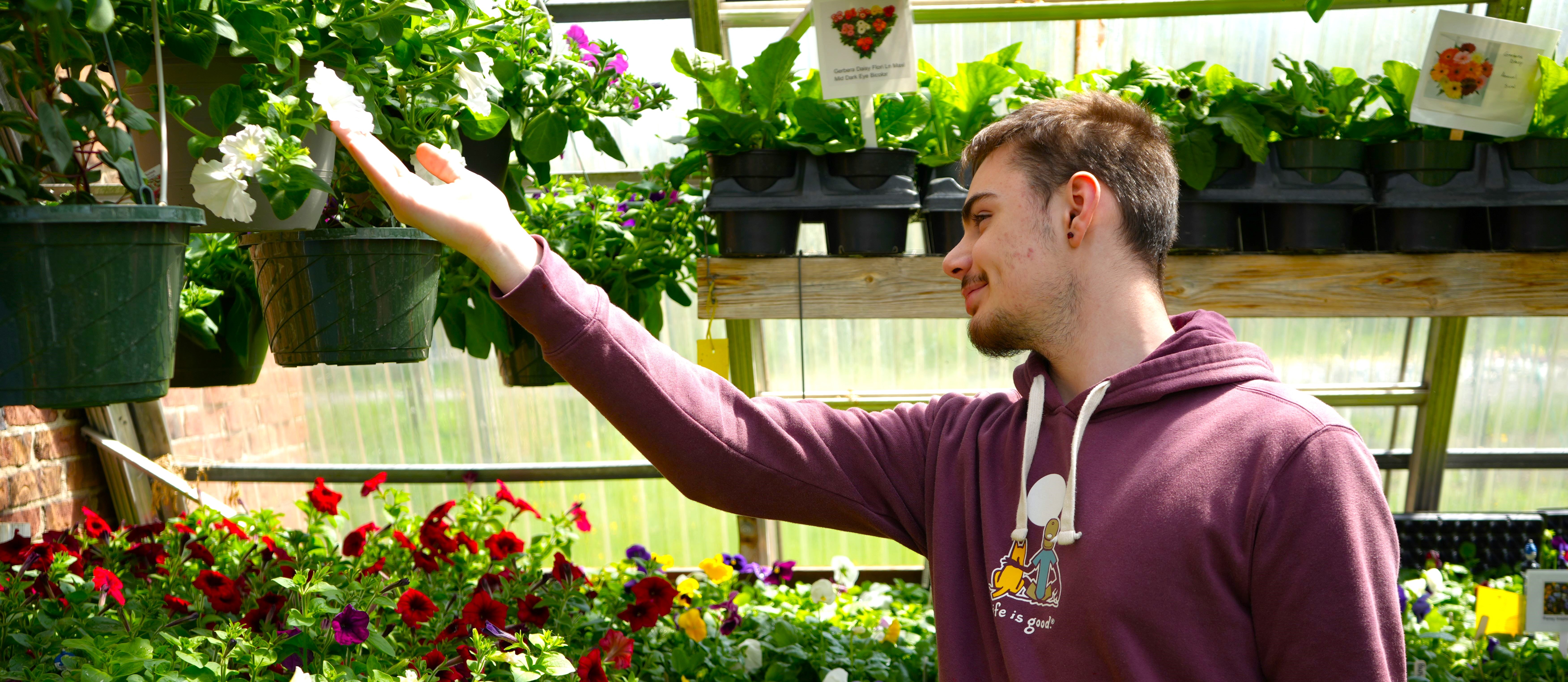 Greenhouse Plant Sale - Student admires work