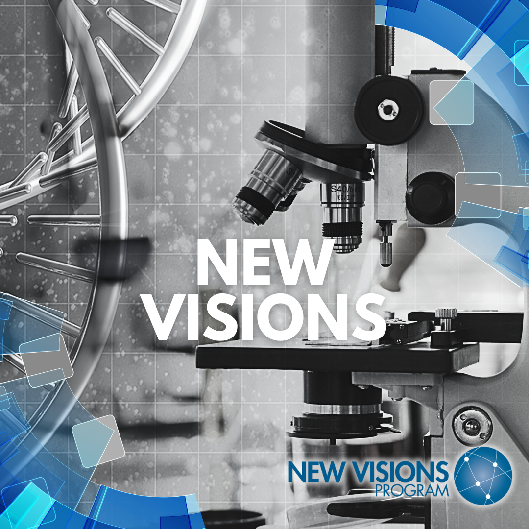 NEW VISIONS LOGO