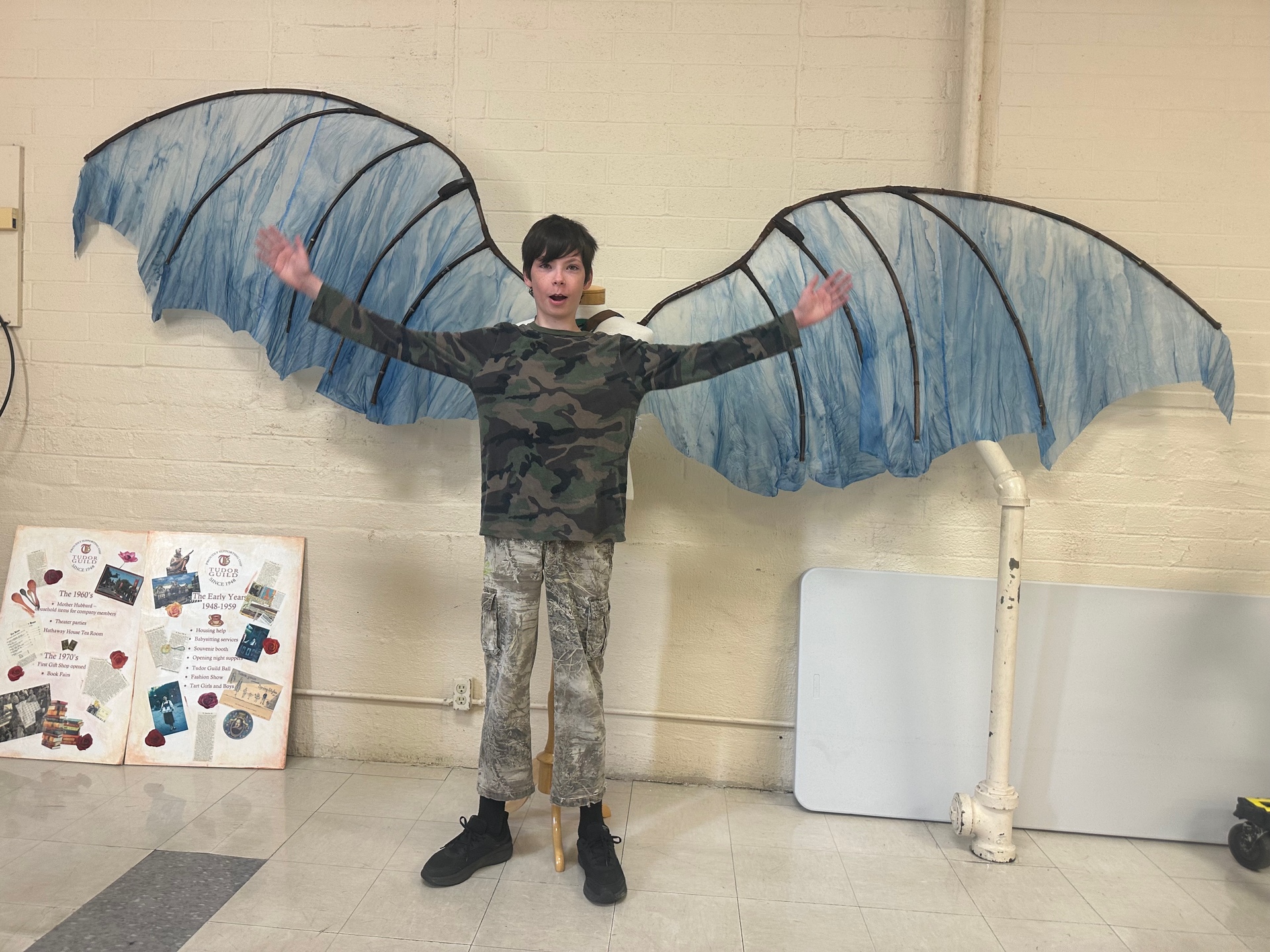 Wings