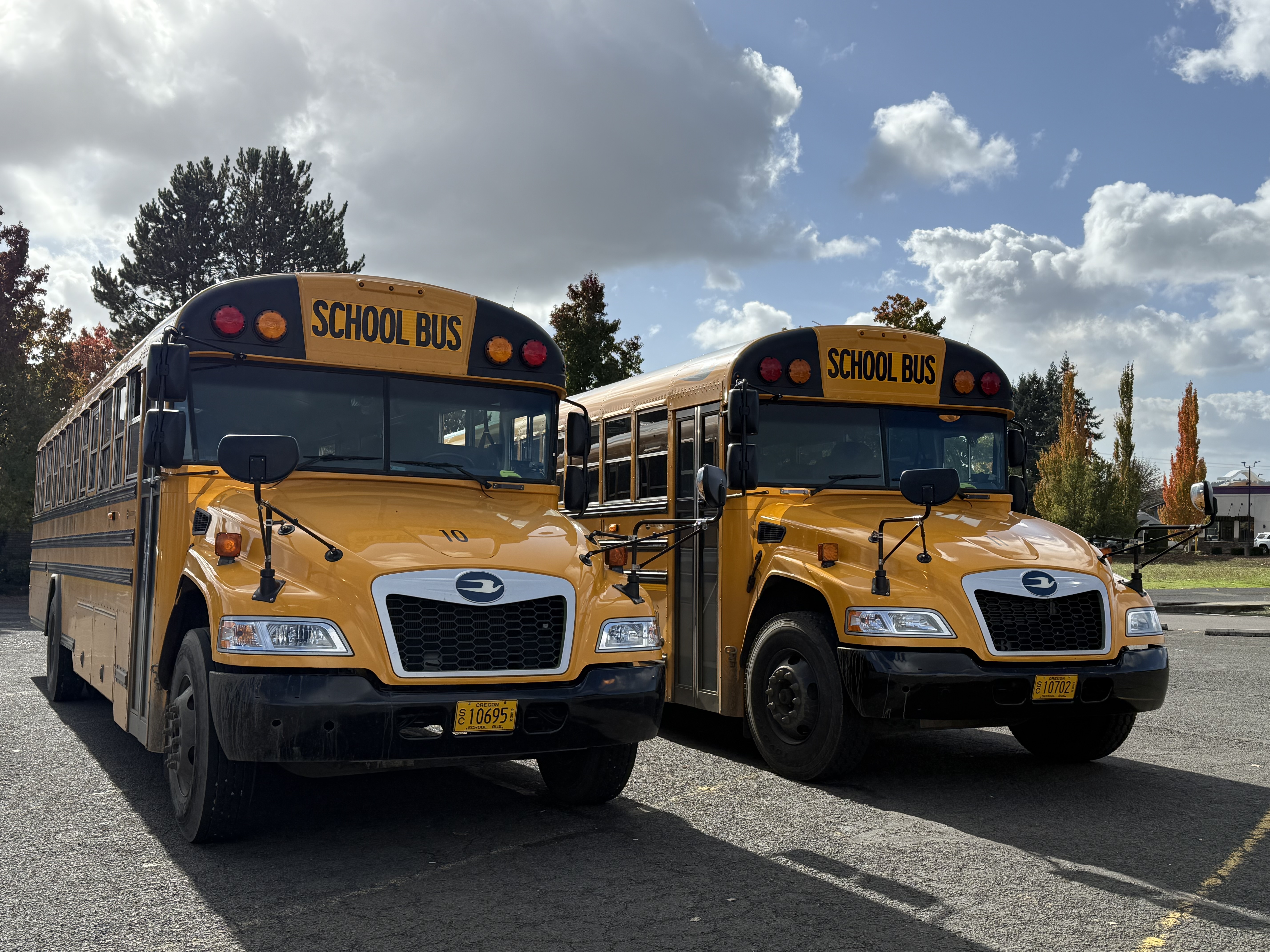 Bus