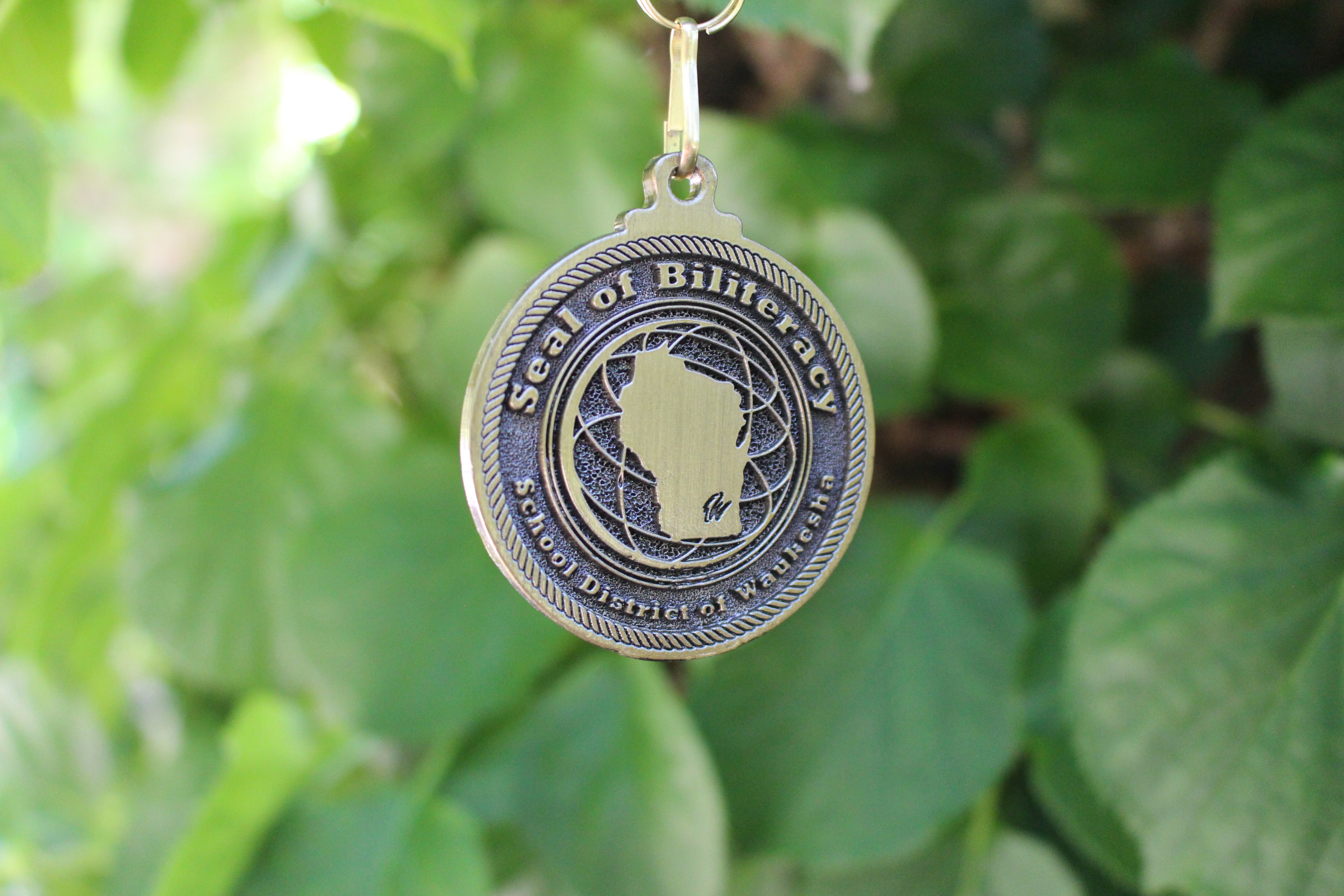 Seal of Biliteracy Award for the Dual Languages Program
