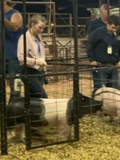 FFA