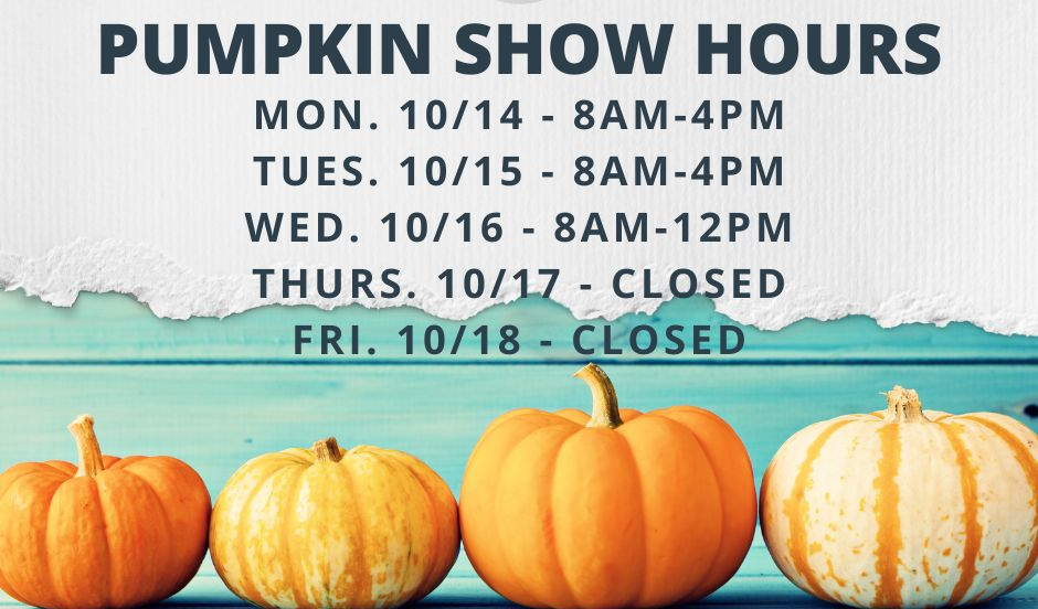 Pumpkin Show Hours