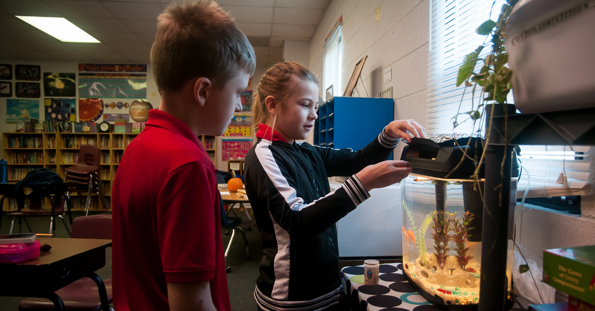 students feeding fish in classroom