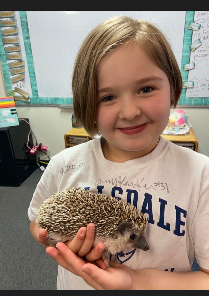 3rd grader holding hedgehog