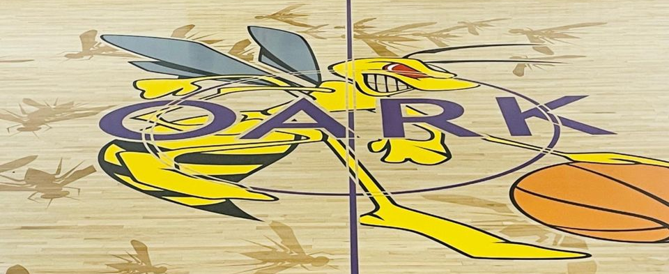 Hornets Basketball Gym Floor Logo