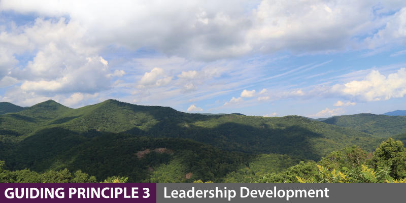 Guiding Principle 3 - Leadership Development