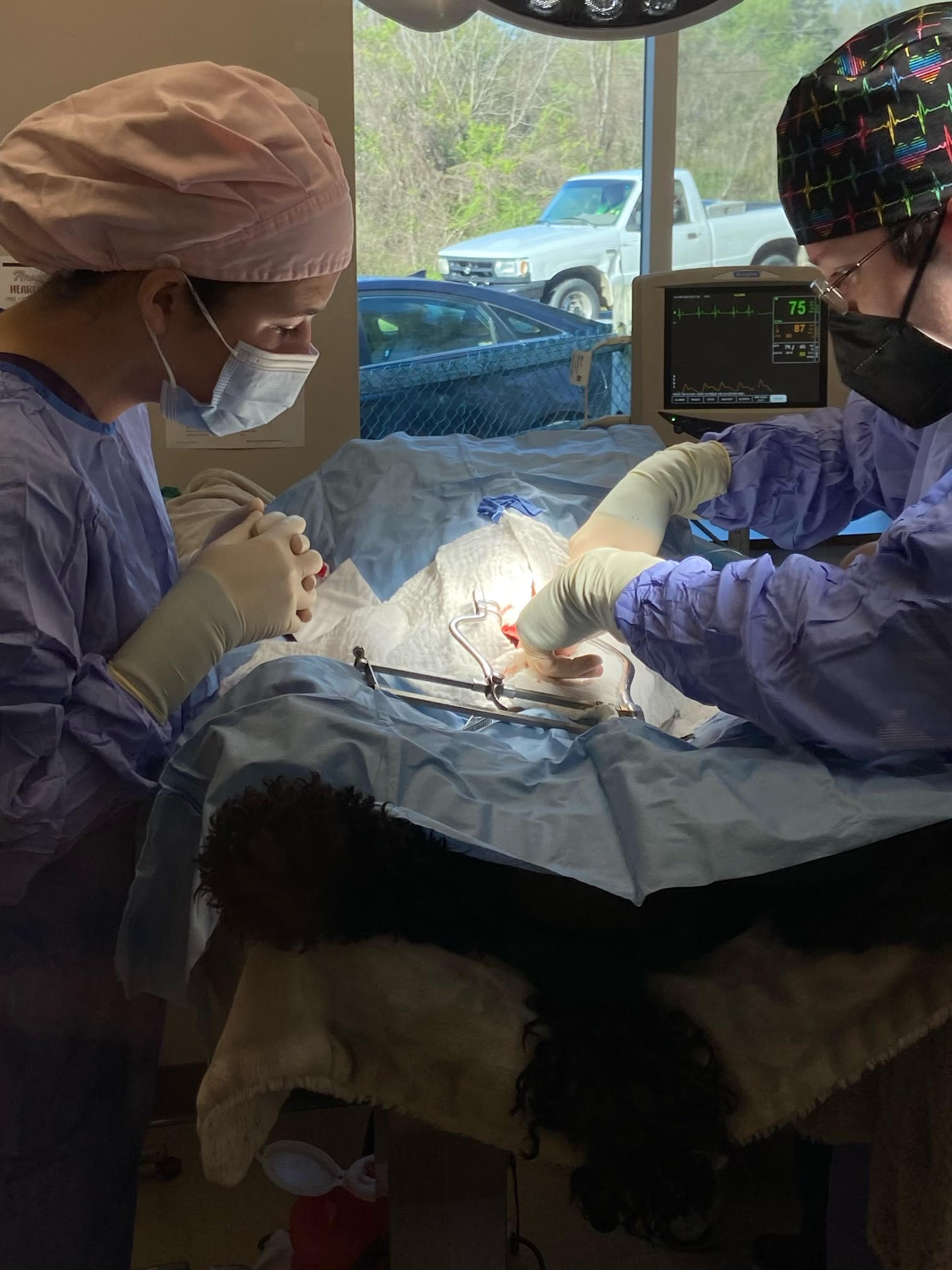 Erwin student in surgery with vet