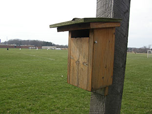 Blue Bird Houses