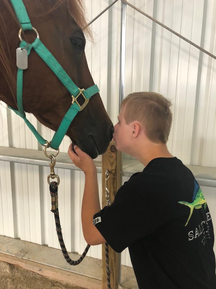 FMS - Equine Assisted Learning