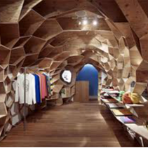 Geodesic internal structure