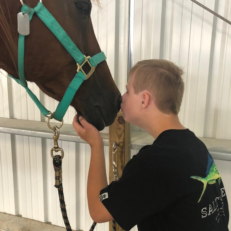 Students petting and burshing horses