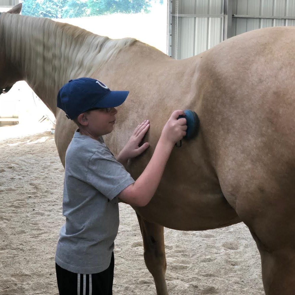 Students petting and burshing horses