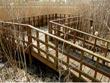 Observation deck above swamp land