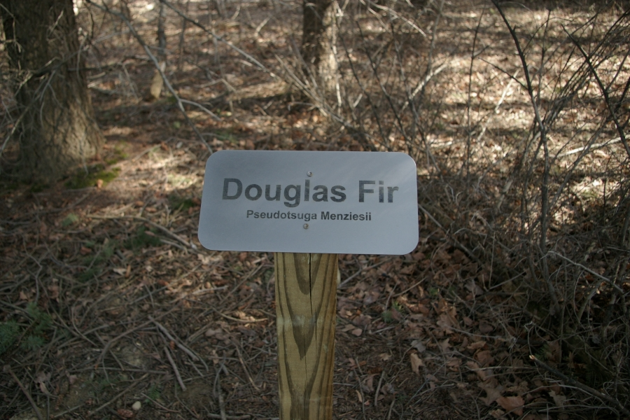 Tree Signs on the tiger trail