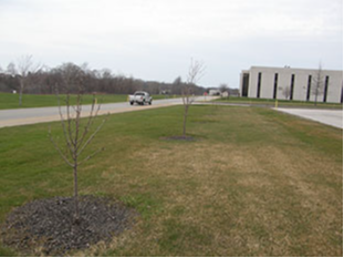 Earth Action Projects, outdoor photo by FHS