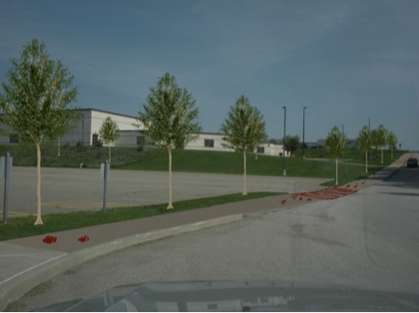 After photo with trees planted and tiger trail marks