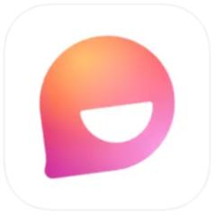 Flip App icon