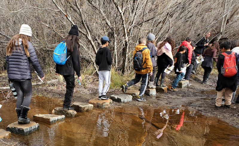 students walking on stones over water in forest