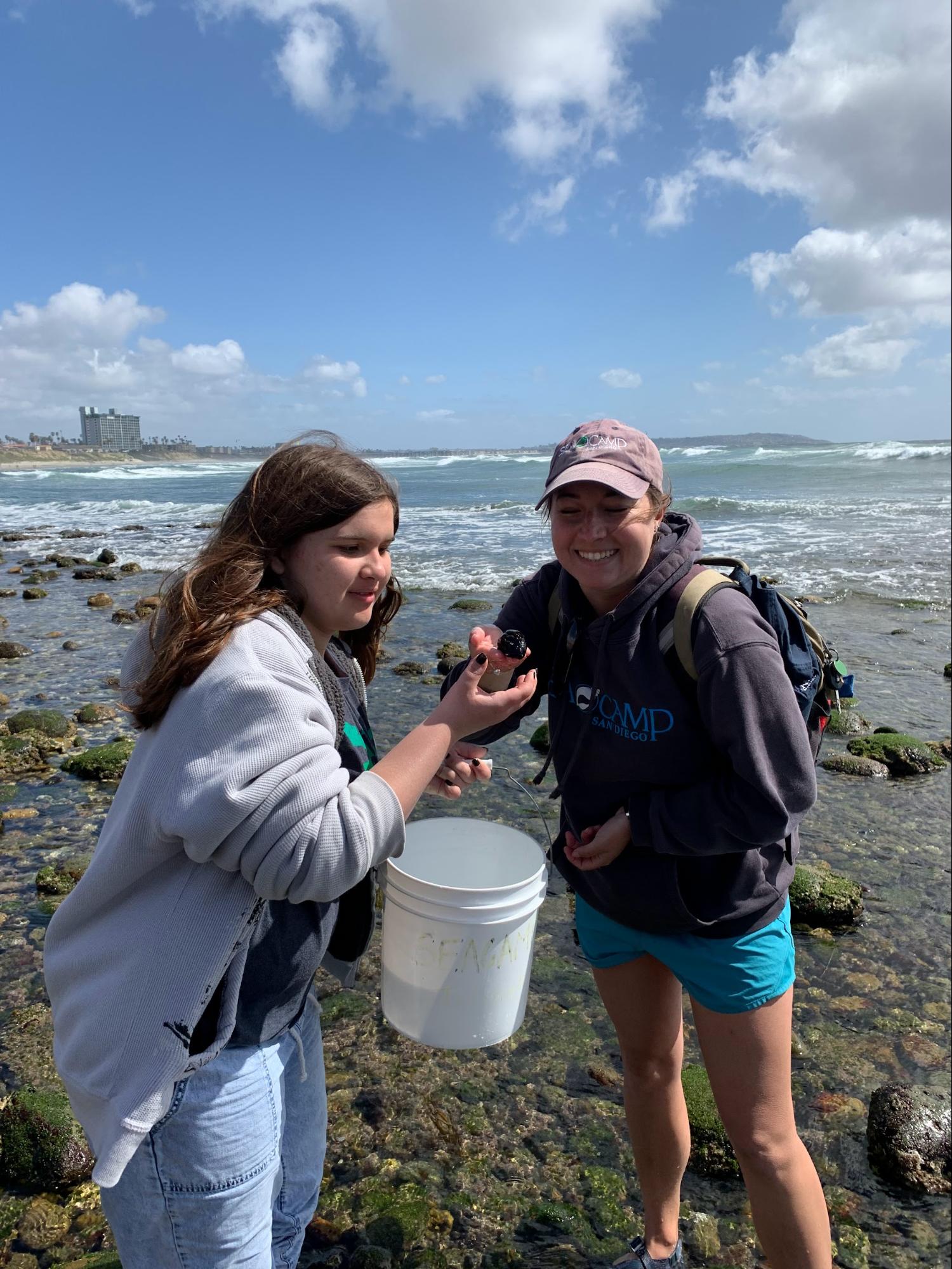 Two students investigating sea life on the rocky shore.