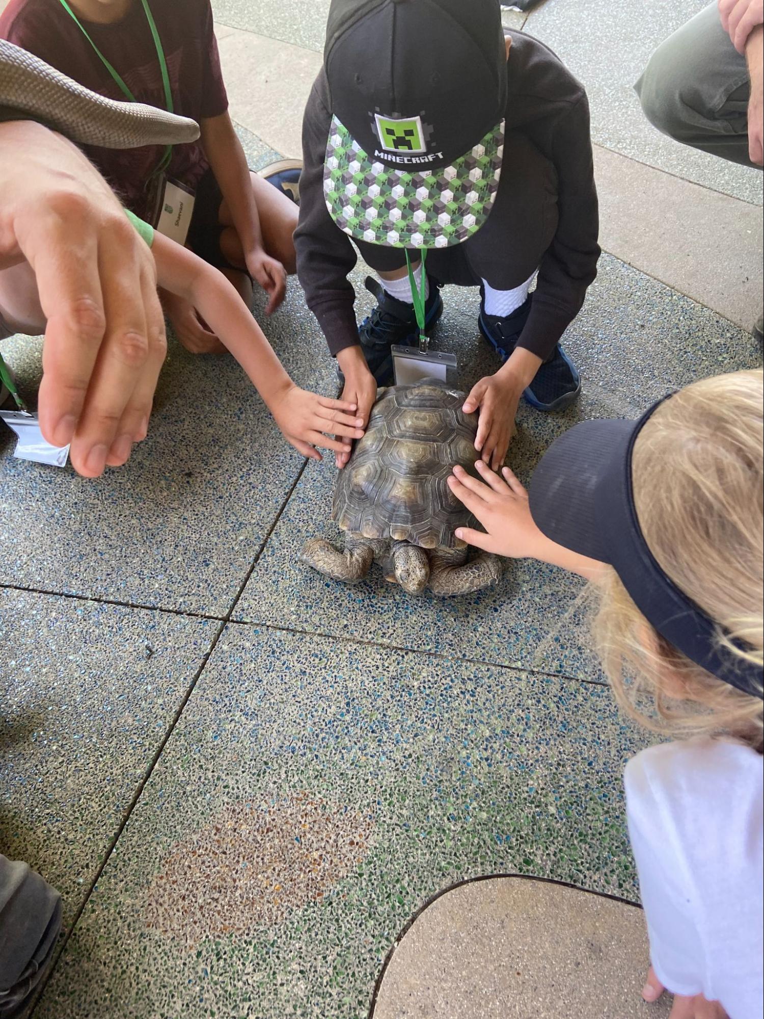 Summer camp students with a turtle.
