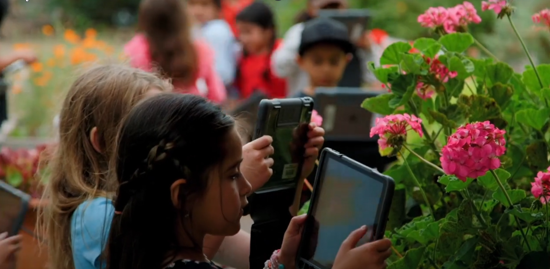 North Broadway students using their iPads to take photos of flowers.