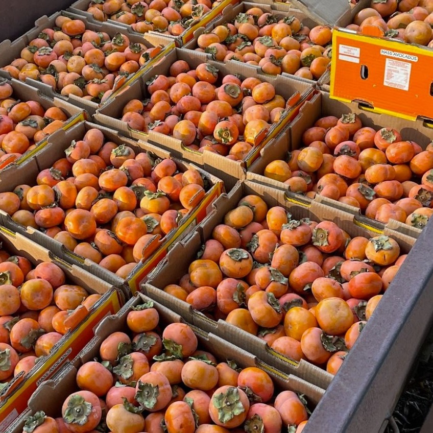 Persimmons in packaging boxes