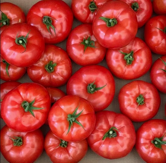 Dassi farms tomatoes