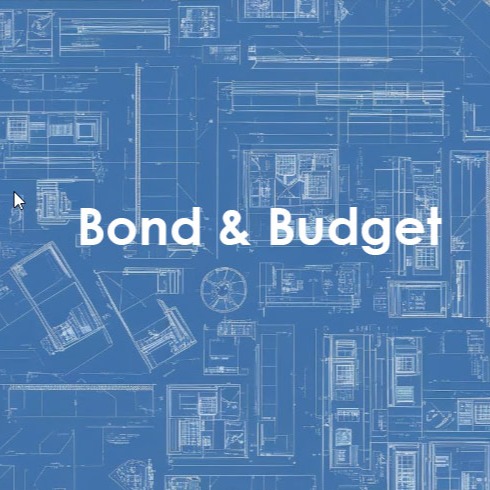 Background graphic for Bond and Budget - decorative only