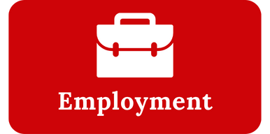 briefcase on red icon button