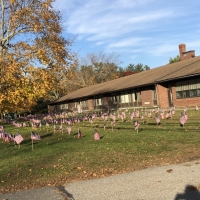 Veterans Day Ceremony at AES