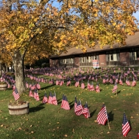 Veterans Day Ceremony at AES