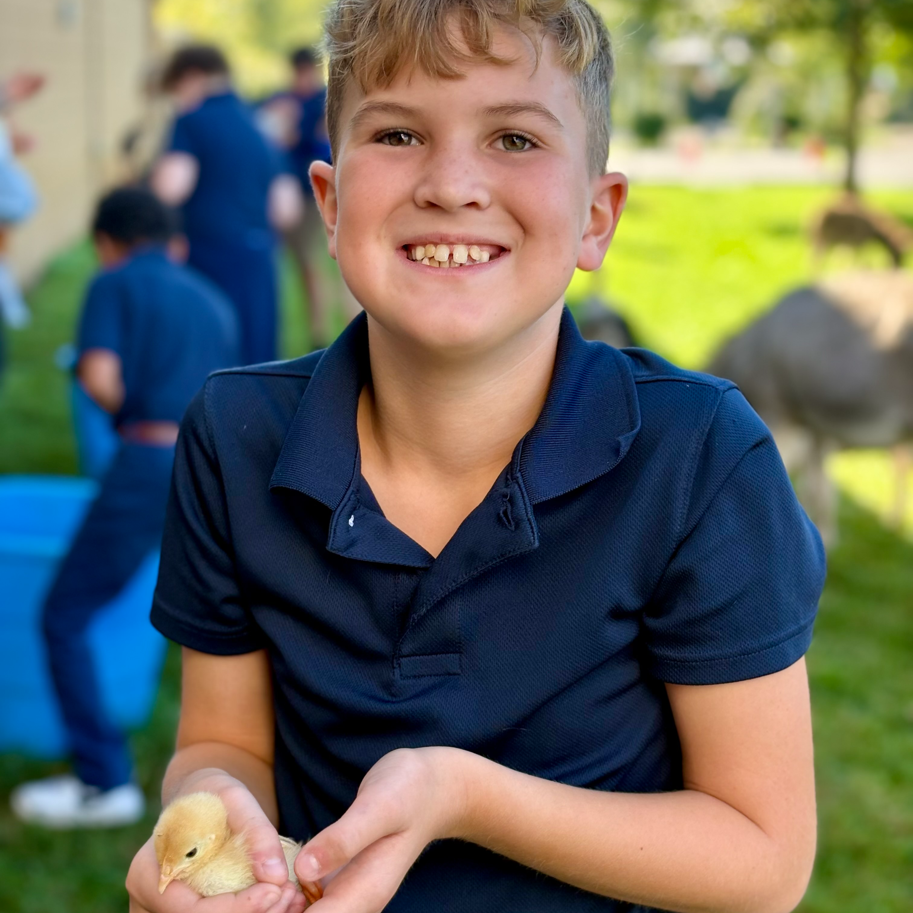 student holding baby chick