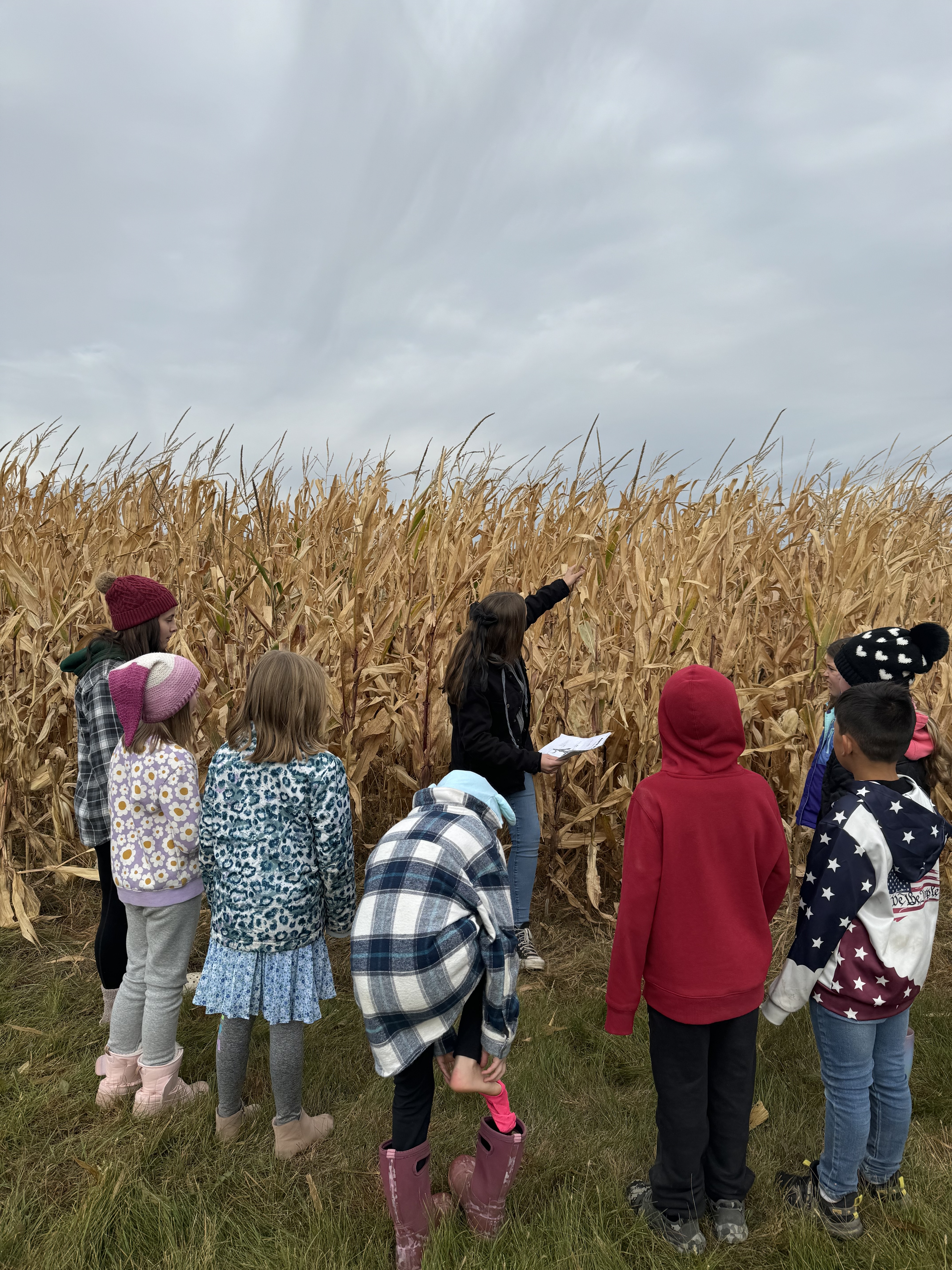 students by field