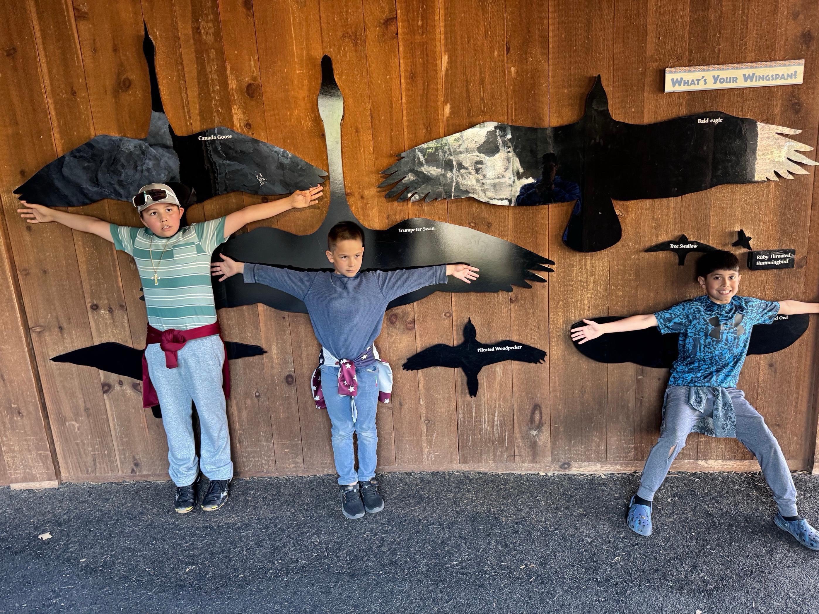 three boys comparing wingspan with waterfoul images