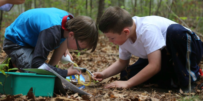 Students in forest