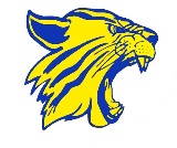 Wildcat head