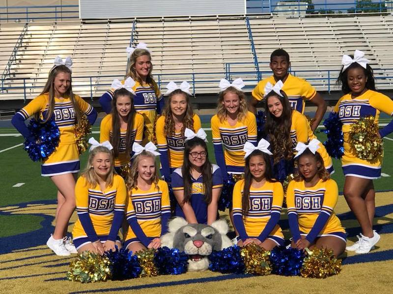 Varsity cheer squad team picture