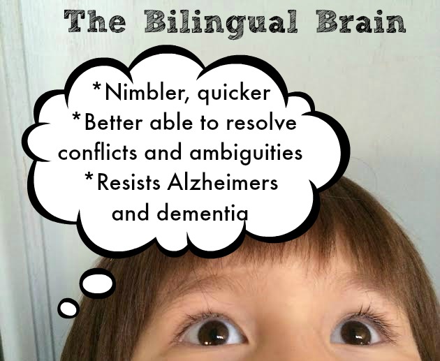 bilingual brain thoughts