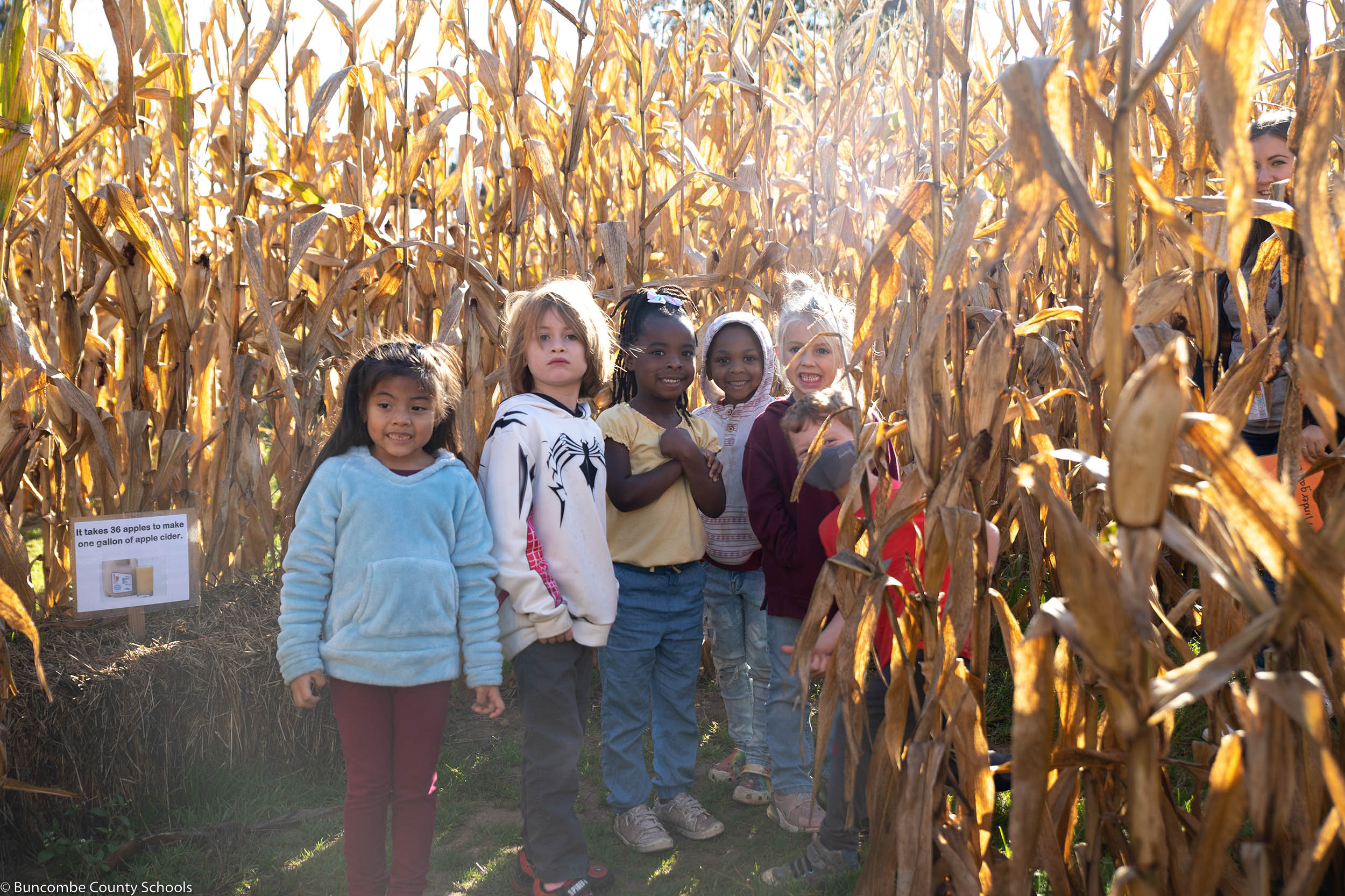 Students standing in a corn maze at Stepp's Apple Orchard.